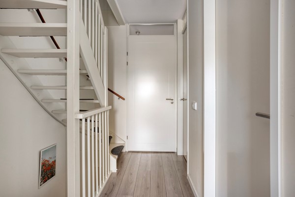 Fluwijn82693EAsGravenzande-19 (Aangepast).jpg